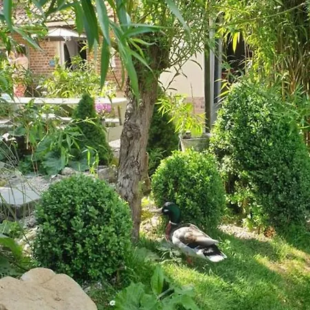 Maison De 2 Avec Piscine Partagee Terrasse Et Wifi A 別荘 Bracquetuit