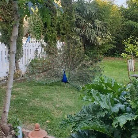 Maison De 2 Avec Piscine Partagee Terrasse Et Wifi A *