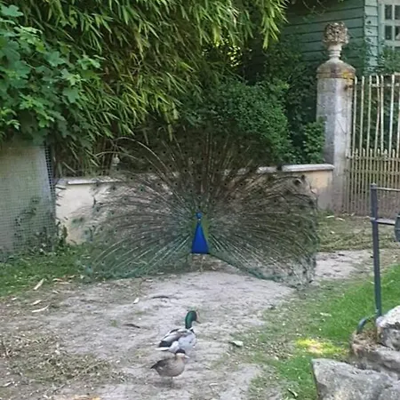Maison De 2 Avec Piscine Partagee Terrasse Et Wifi A 別荘